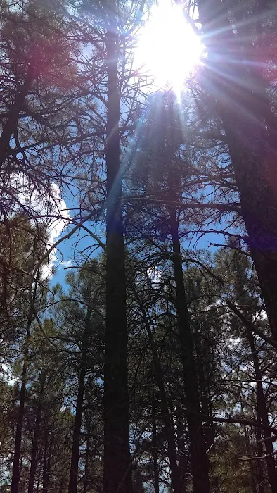 Black Barts RV Park Picture 9