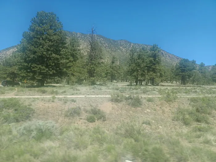 Colony-Jo Don Manufactured Home Community Picture 7