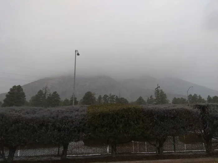 Colony-Jo Don Manufactured Home Community Picture 10