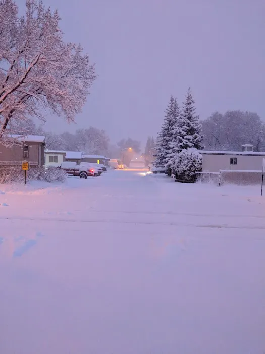 Colony-Jo Don Manufactured Home Community Picture 9