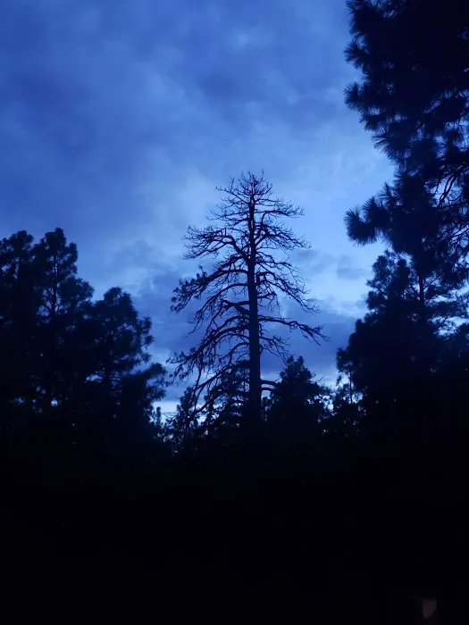 FLAGSTAFF RV PARK Picture 1