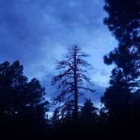 FLAGSTAFF RV PARK ico