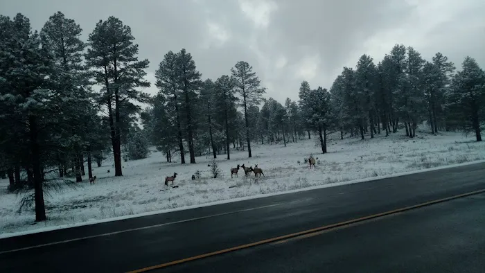 Westglen Mobile Home Park Picture 4