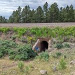 Westglen Mobile Home Park