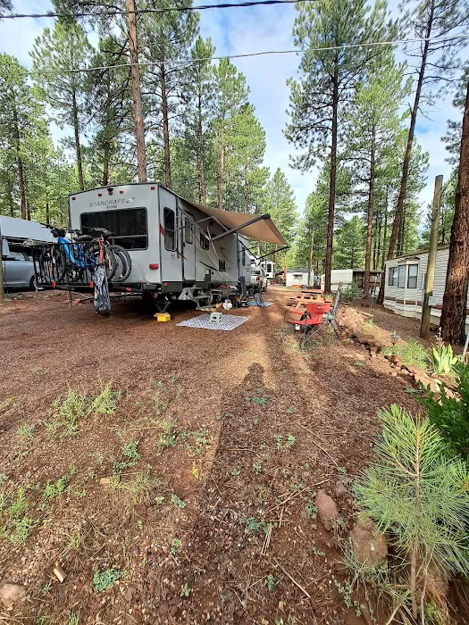 Kit Carson RV Park Picture 2