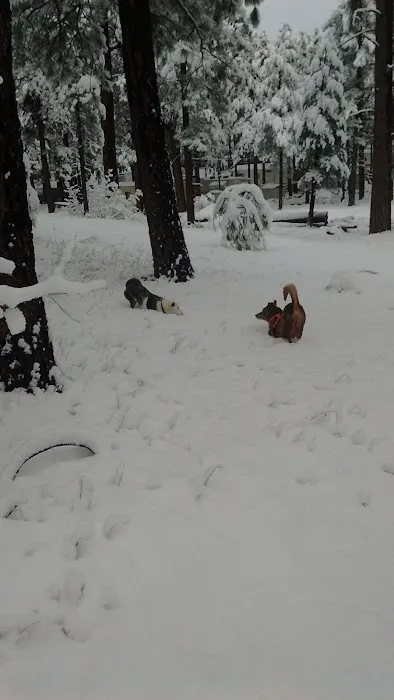 Kit Carson RV Park Picture 8