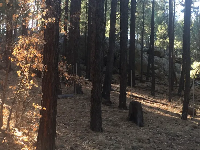 Wildwood Hills Picture 9