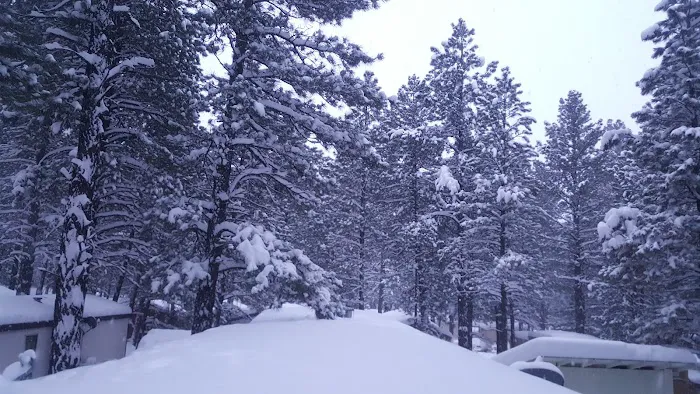 Hidden Hollow Manufactured Home Community Picture 9