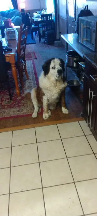 Camp Slobbery Dog RV Park and B and B Picture 1