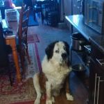 Camp Slobbery Dog RV Park and B and B