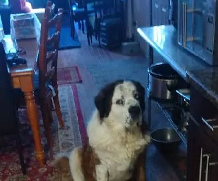 Camp Slobbery Dog RV Park and B and B