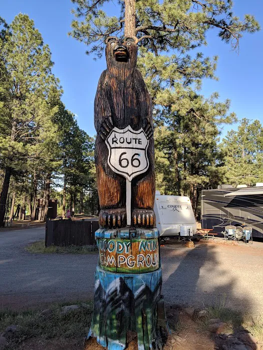 Woody Mountain Campground and Bed & Breakfast Picture 3