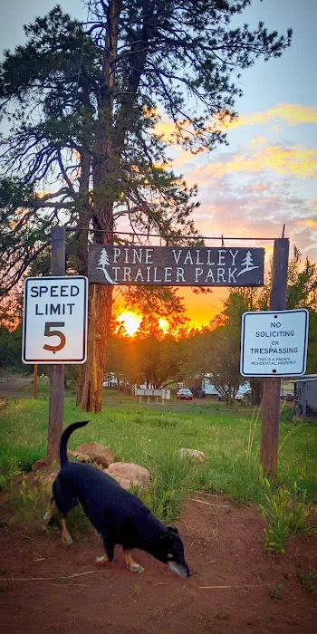 Pine Valley Trailer Park Picture 1