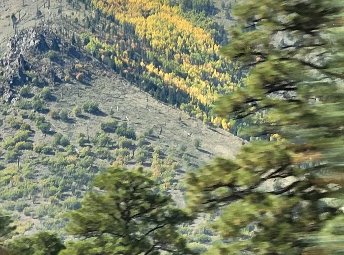 Silver Saddle Mobile Home Park Picture 9