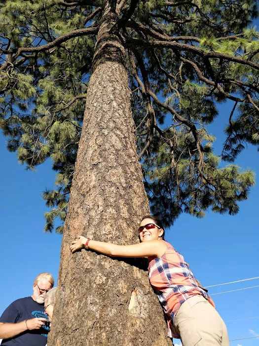 Silver Saddle Mobile Home Park Picture 7