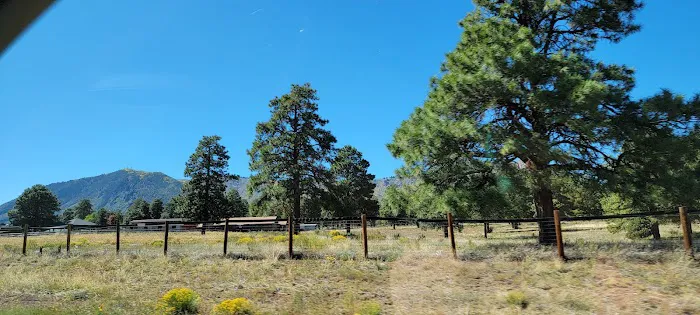 Silver Saddle Mobile Home Park Picture 6