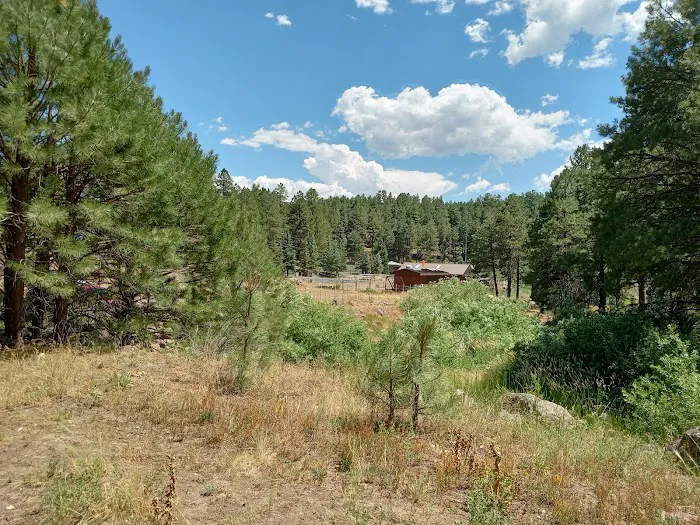 Kachina Village Mobile Home Park Picture 2