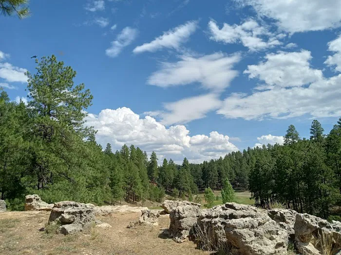 Kachina Village Mobile Home Park Picture 4