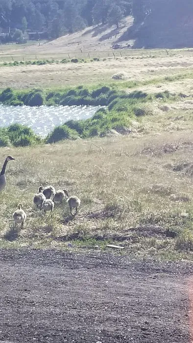 Kachina Village Mobile Home Park Picture 6