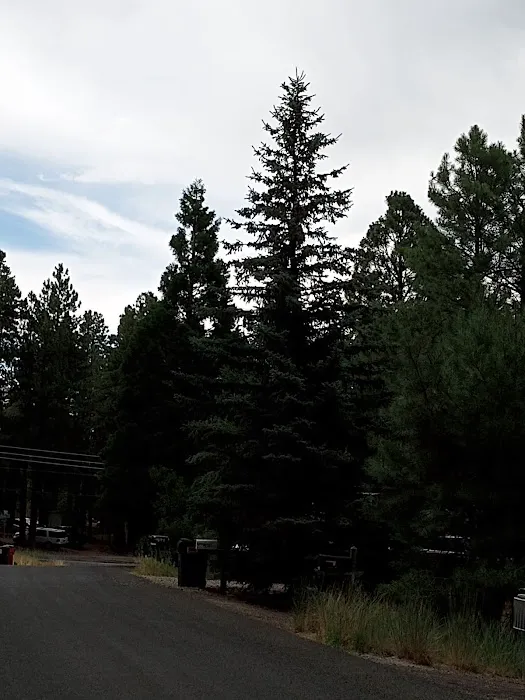 Kachina Village Mobile Home Park Picture 7