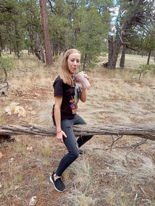 Kachina Village Mobile Home Park Picture 8