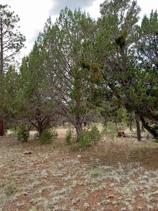 Kachina Village Mobile Home Park Picture 10