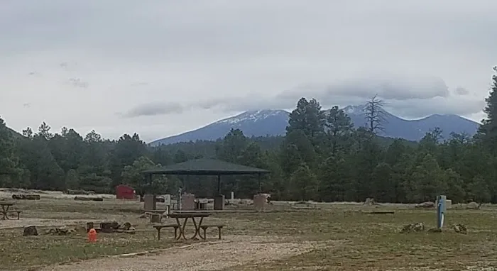 Pine View RV Campground (Military Only) Picture 5