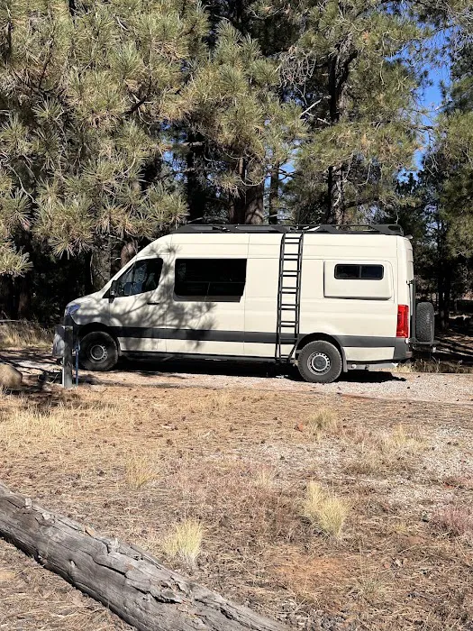 Pine View RV Campground (Military Only) Picture 6