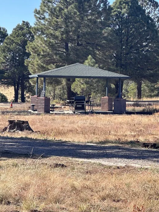 Pine View RV Campground (Military Only) Picture 2