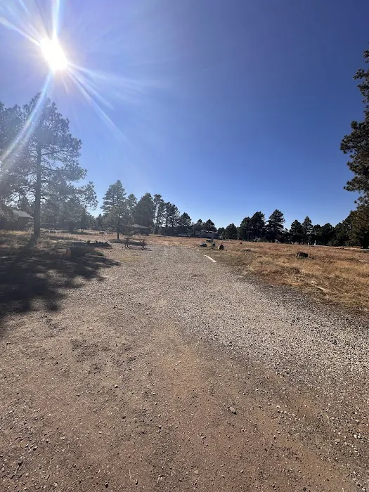 Pine View RV Campground (Military Only) Picture 1