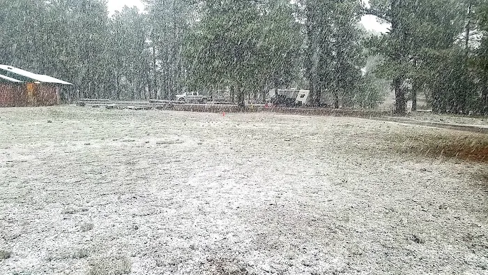 Pine View RV Campground (Military Only) Picture 8