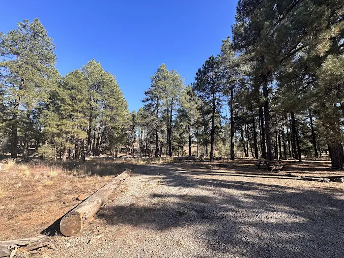 Pine View RV Campground (Military Only) Picture 10