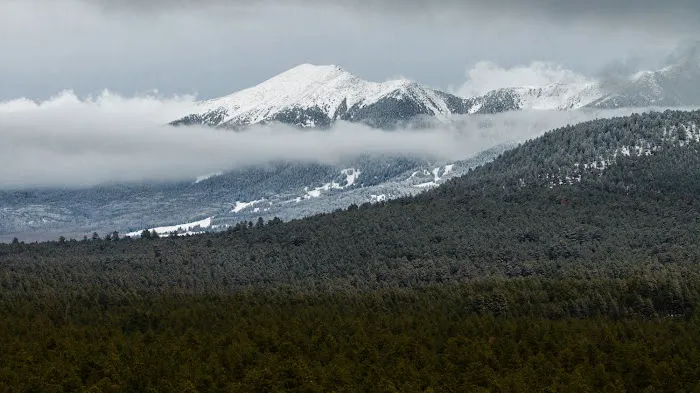 Village Camp Flagstaff Picture 9