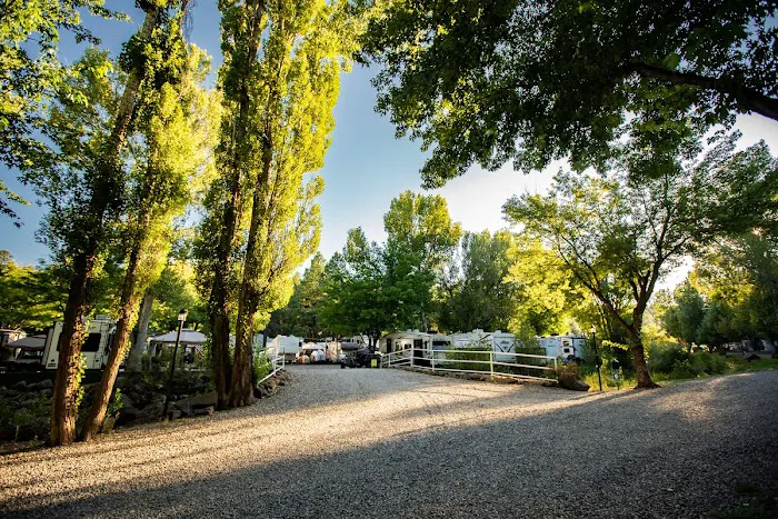 Munds Park RV Resort Picture 5