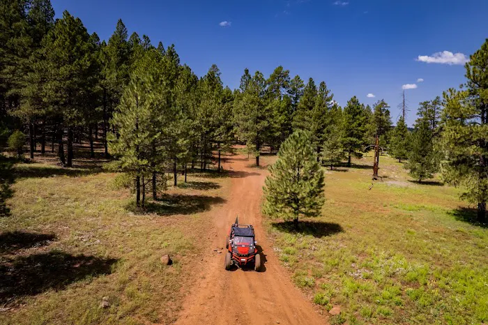 Munds Park RV Resort Picture 7