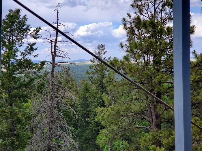 Mormon Lake Trailer Park Picture 3