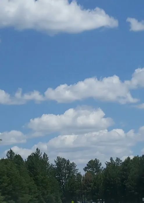 Mormon Lake Trailer Park Picture 6