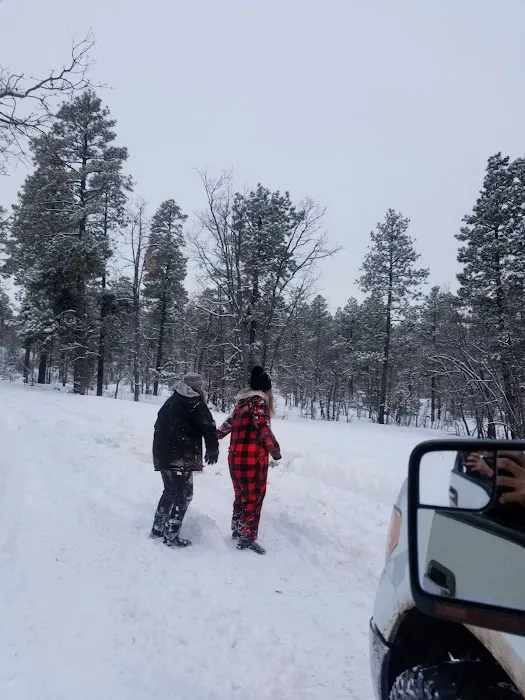 Mormon Lake Trailer Park Picture 8