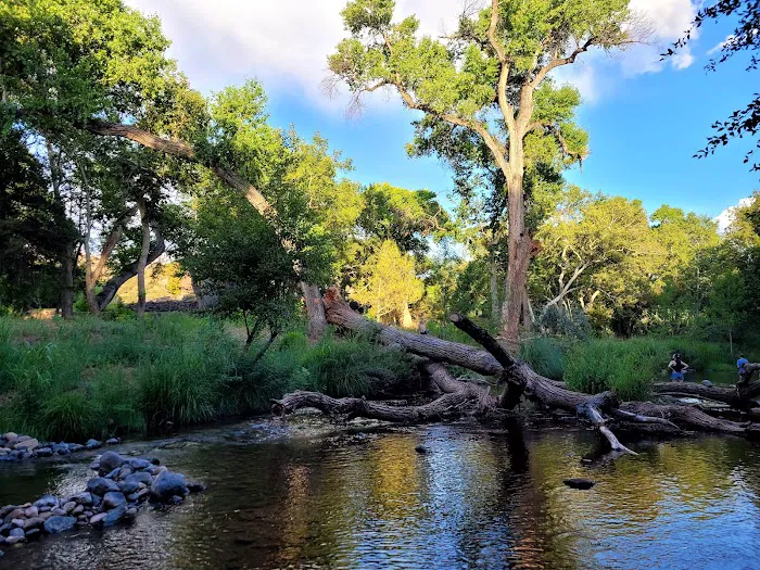 Lo-Lo-Mai Springs RV & Tent Resort Picture 9