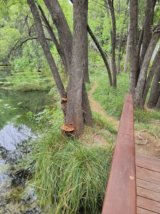 Lo-Lo-Mai Springs RV & Tent Resort Picture 10