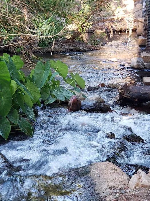 Page Springs RV Park Picture 1