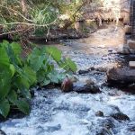 Page Springs RV Park