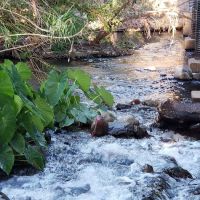 Page Springs RV Park ico