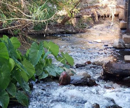 Page Springs RV Park