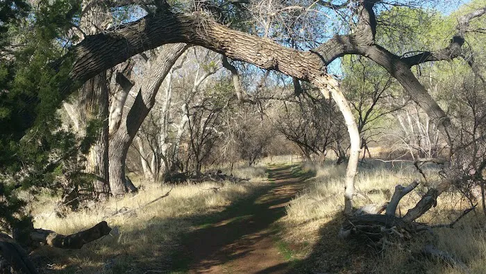 Page Springs RV Park Picture 5