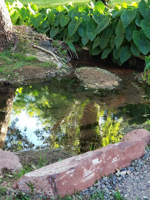 Page Springs RV Park Picture 7