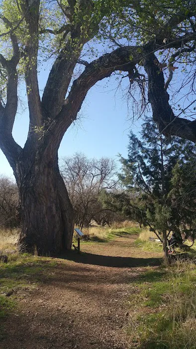 Page Springs RV Park Picture 9