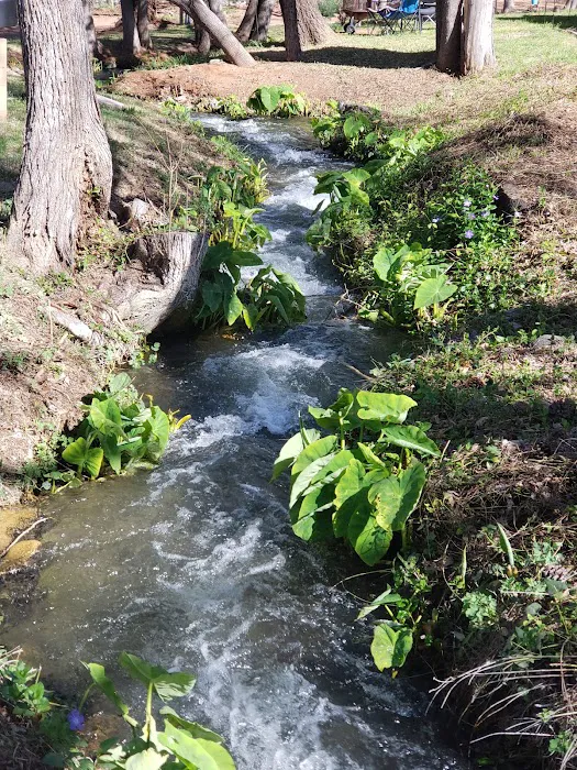 Page Springs RV Park Picture 10