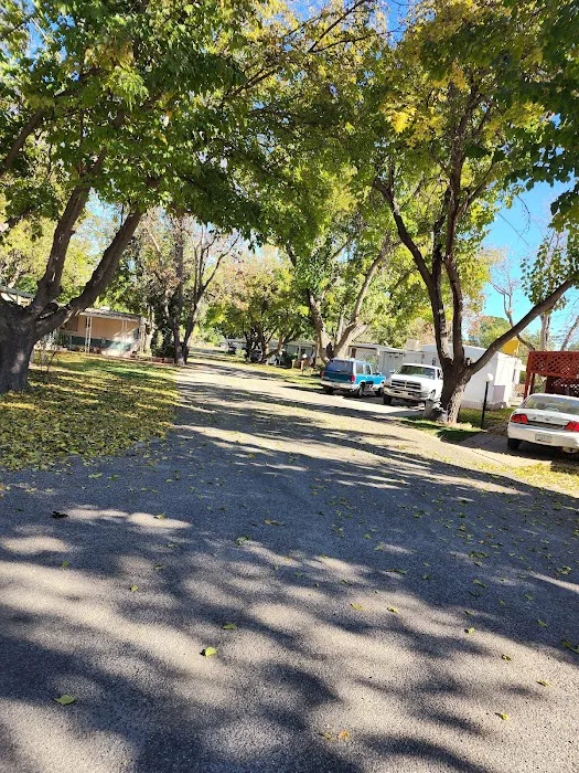 Vista del Sol Picture 10