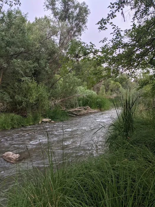 Thousand Trails Verde Valley Picture 9